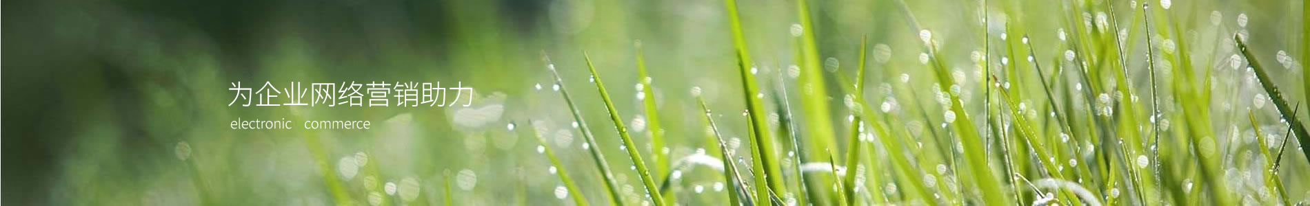 ݿƳеƼ޹˾